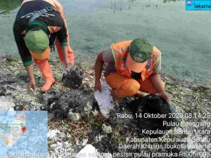 Usut Asal Pencemaran, Gumpalan Minyak yang Cemari Perairan Pulau Pramuka Kep Seribu di Uji Lab