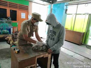 Di Awal November, Ratusan Ekor Hewan di Jakarta Utara Divaksin Rabies