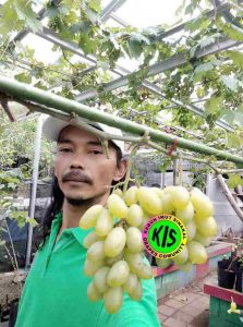 Kebun imut “Nakal” Yatno Gondrong Malakasari Duren Sawit, Jakarta