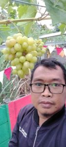 “Entis Sutisna RT Pelopor membumikan anggur di Kampung Anggur Sari Neglasari Tangerang”