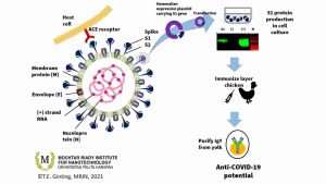 MRIN-UPH Berpartisipasi Temukan Antiserum IgY Sebagai Alternatif Pengobatan Covid-19