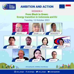 Uni Eropa Dorong Transformasikan Energi Fosil Menjadi Energi Hijau   