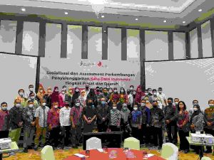 Sosialisasi dan Asesmen Penyelenggaraan Satu Data Indonesia Tingkat Pusat dan Daerah