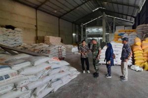 Soal Surplus Beras, Pengamat Pertanian: Aneh, Kok Tak Percaya Data BPS