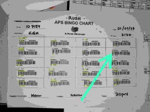 Penumpang Bernama Therene Roten Kehilangan Koper di Pesawat Batik Air, Saat Dari Changi ke Jakarta