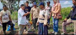 Hari Pangan Sedunia 2023 Fokus pada Lingkungan dan Pertanian, Agrokonservasi Guna Meningkatkan Hasil Pertanian dengan Pelestarian Lingkungan Dampak Perubahan Iklim