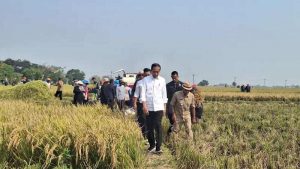 Ketahanan Pangan Indonesia: Tantangan dan Peluang dalam Menangani Ketergantungan pada Impor Pangan dan Meningkatkan Produksi Pangan Lokal
