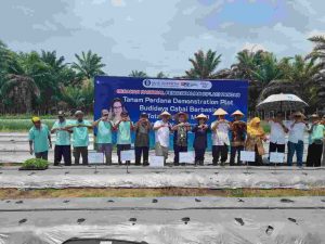 Revitalisasi Pertanian: Meretas Jalan ke Swasembada dengan Teknologi Terkini