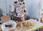 Karantina Papua Selatan Tahan Gelembung Ikan Tak Berdokumen