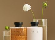 LENCIR: Rahasia Kecantikan Holistik dari Dalam, Diakui BPOM dan FDA