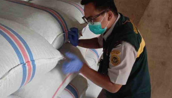 Bebas OPTK, 188,7 Ton Cengkih Asal Natuna Berlayar ke Semarang
