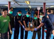 Lolos Pemeriksaan Karantina, 10.362 Ekor Ikan Asal Natuna Diekspor Lagi ke Hongkong
