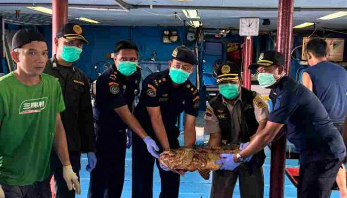 Lolos Pemeriksaan Karantina, 10.362 Ekor Ikan Asal Natuna Diekspor Lagi ke Hongkong