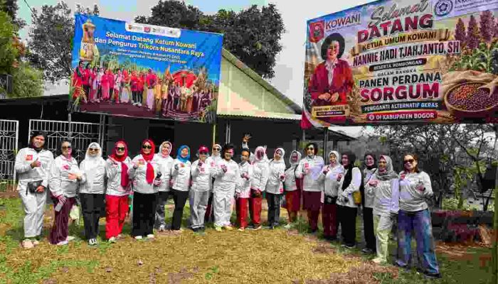 Panen Perdana Sorgum di Bogor, KOWANI Dorong Pangan Lokal Bernilai Ekonomi